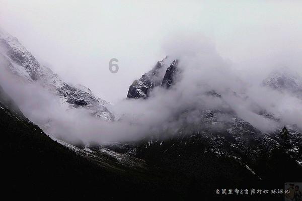 奔跑的兔子