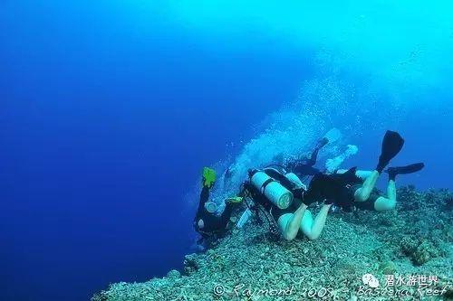 创金合信基金甘静芸：短期超跌反弹行情 可维持杠铃配置策略